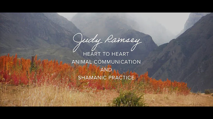 Zoom Class Facebook Ad - Heart to Heart with Judy ...