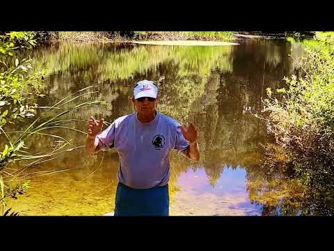 Craig and Jean's Pond-Toothache Lake