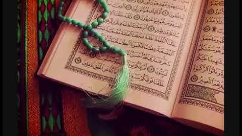 سورة الاحقاف للشيخ وديع اليمني