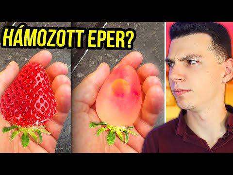 Videó: Hogyan Lehet Embert Találni Az Erdőben