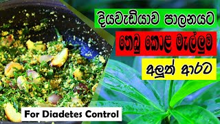 thebu kola malluma | Special mallow for diabetes Patients | දියවදියව පාලනයට මැල්ලුමක් | තෙබු කොළ