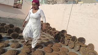 Uple Gose Paltkar Gobar Path Diye