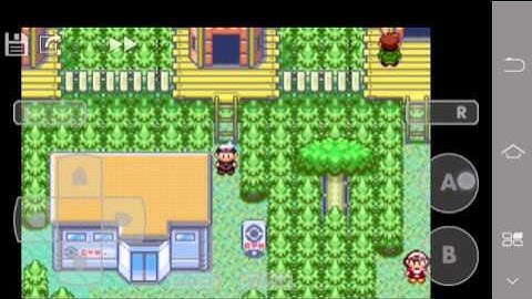 Pokemon Ruby walkthrough part 16