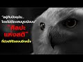 ศิลปะแห่งสติ การอยู่กับปัจจุบันอย่างสงบ | Hedwig Podcast EP.5
