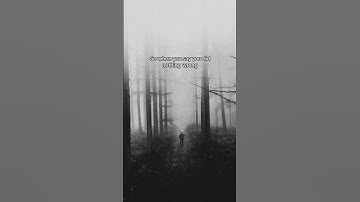 Cian Ducrot - Why do we do this? #shorts