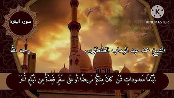 الشيخ محمد عبد الوهاب الطنطاوى. نوادر.(سوره البقره)