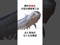 顎をゲットしたのに何もできなかった「クリマティウス」 #生き物 #2ch #動物 #2ch面白いスレ