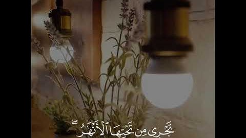 { جَنَّاتُ عَدْنٍ يَدْخُلُونَهَا.. } - سورة النحل - القارىء / أحمد النفيس🌸