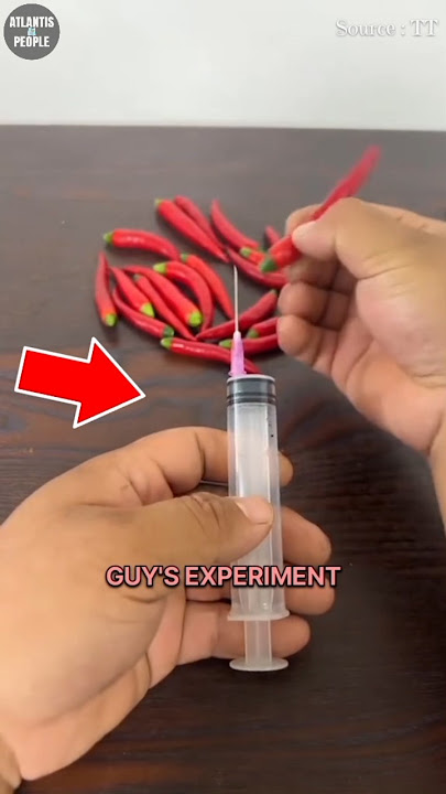 Experiment With Chili Being Injected Into Paprika ‼️🌶️😱