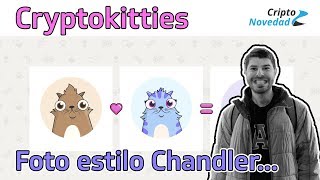 Cryptokitties, Ganancias En Btc Vs Usd Y Mucho Más