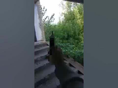 Хватит платить за закладки. Как легко найти любую закладку. Детектор ...