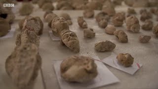 タリバン破壊の仏像群を修復、7000個の欠片から　アフガニスタン