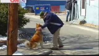 Hachiko A Dog's Story Behind The Scenes