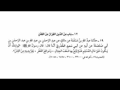 19 خير حديث يوشك أن يكون مال المسلم غنم صحيح البخاري