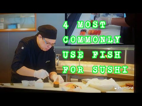 4 MOST COMMONLY USE FISH FOR SUSHI #sushichefatsea  #freshfish  #sushiandsashimi