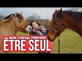 MON CHEVAL PRÉFÈRE ÊTRE SEUL