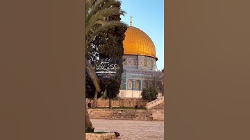 ﴿ يا أيها الذين آمنوا استعينوا بالصبر والصلاة إن الله مع الصابرين ﴾ - القارئ محمد الفقيه