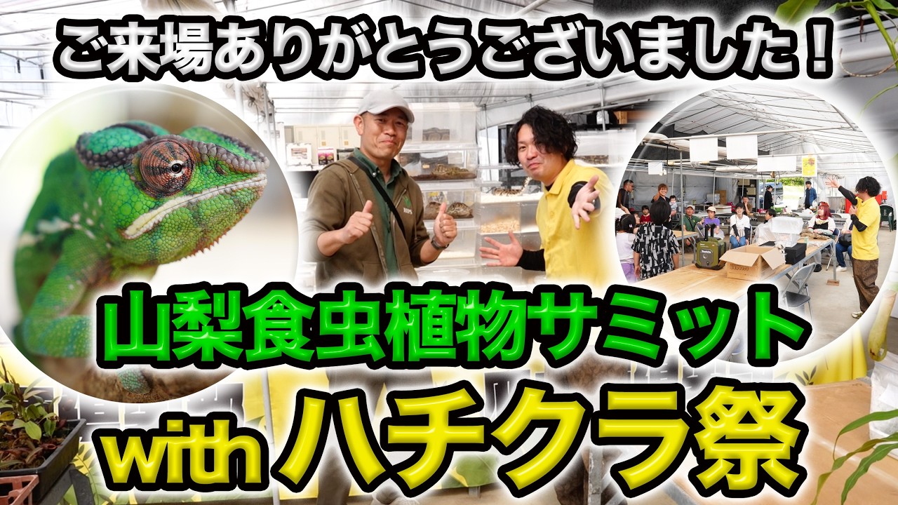 Event Video] A digest of the Yamanashi Carnivorous Plant Summit