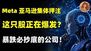 英伟达 Meta 亚马逊集体押注！这家光通信龙头越跌越香？康宁 GLW真正的抄底价位我已经给大家算好了！META.GLW.NVDA.AMZN.LITE.MVRL.AAOI.COHR #ai #美股