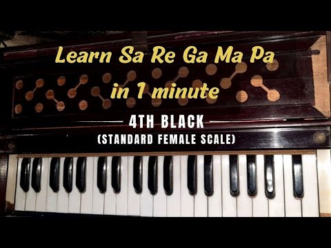 Learn to play Sa Re Ga Ma Pa |4th black | Harmonium Tutorial 1(a)| Female scale