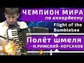 Полёт Шмеля - Н.А. Римский-Корсаков за 60 секунд на аккордеоне