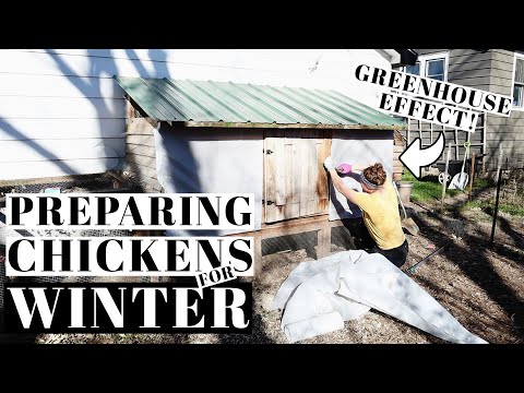 BACKYARD CHICKEN WINTER PREP | Keeping Poultry in the HARSH Wisconsin Weather | Coop Warming Tricks