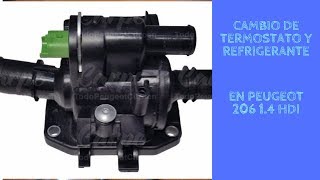 Cambiar termostato y refrigerante de Peugeot 206 #6