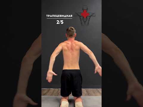Видео: Как растянуть мышцы спины: 13 шагов (с иллюстрациями)
