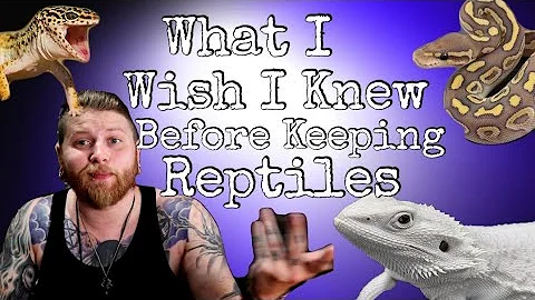 Top 5 Tips For New Reptile Keepers