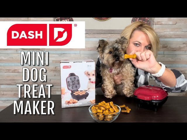 Dash Dog Treat Maker Review: Easy Homemade Dog Treats