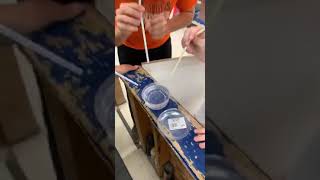 Famous DRINKING BELLE DELPHINES BATH WATER GONE WRONG!! Net Worth