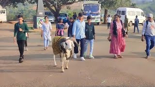Karnatak Legend Sheep (7 STAR SULTAN) Movie Shooting ❤️😀#movie #amazing #shorts