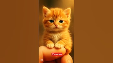 Adorable💞cat singing apt apt Song lyrics | #cat #apt #apt #catsinging #viralshorts.