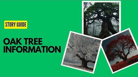 The Oak Tree: A Majestic Giant of the Forest