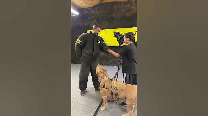 This dog recognized trouble  #shorts #dog #dogtraining   D