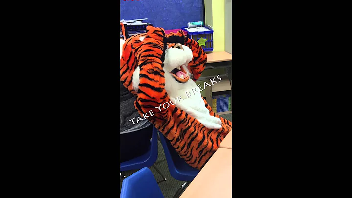 STAAR song for Harmony Science Academy Dallas Elem...