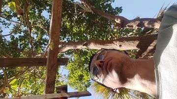 تلاوه خاشعه مما تيسر من سورة مريم "فكلى واشربى وقرى عينا "