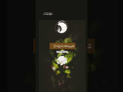 سورة يوسف بصوت الشيخ محمود الشحات  قرآن ساعات مشاهدة دعمكم لقناتي جزاكم الله خيرا