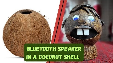DIY Rechargeable Bluetooth Speaker | Coconut shell Craft | Portable, Eco-Friendly Audio Magic