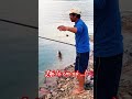 #fishing #camtrai #cauca #sinhton #carpfishing #fishinglife #giaitri #thugian #thuthach