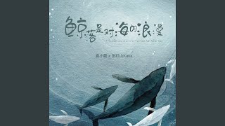鲸落是对海的浪漫