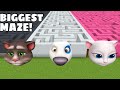 What is the BIGGEST MAZE HANK OR TOM OR ANGELA in Minecraft - Gameplay - Coffin Meme