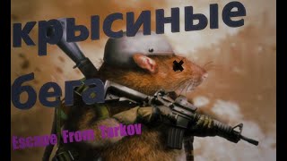 КРЫСИНЫЕ БЕГА ЗАВОД Escape From Tarkov