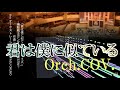 【君は僕に似ている（TVサイズ）】 ガンダムSEED DESTINY オーケストラカヴァー