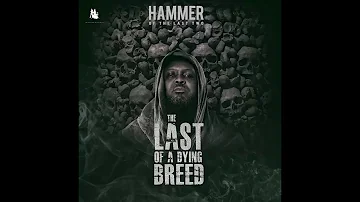 HAMMER - EFFORTLESS FT. TEEPHLOW, MEDIKAL, PURE AKAN & WORLASI (AUDIO SLIDE)