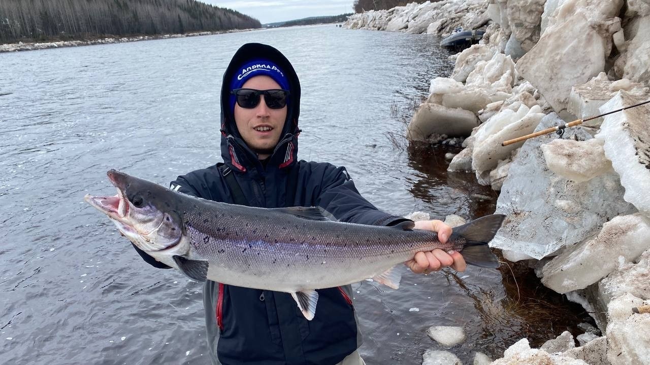 КОЛЬСКИЙ ПОЛУОСТРОВ! ОХОТА НА ЛОСОСЯ! РЕКА ВАРЗУГА!