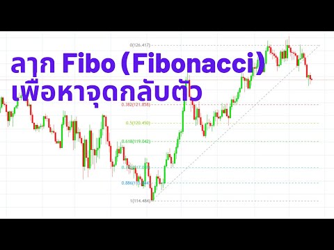 การลาก Fibo (Fibonacci) เพื่อหาจุดกลับตัว