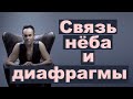 Связь нёба и диафрагмы  Андрей Солод. Часть 3.  Философия вокала