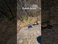 Redcats terrain in Duluth #automobile #rc #rccar #subscribe #duluth #crawling #crawler #redcat #fun
