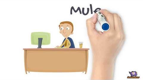 Welcome to MuleBytes